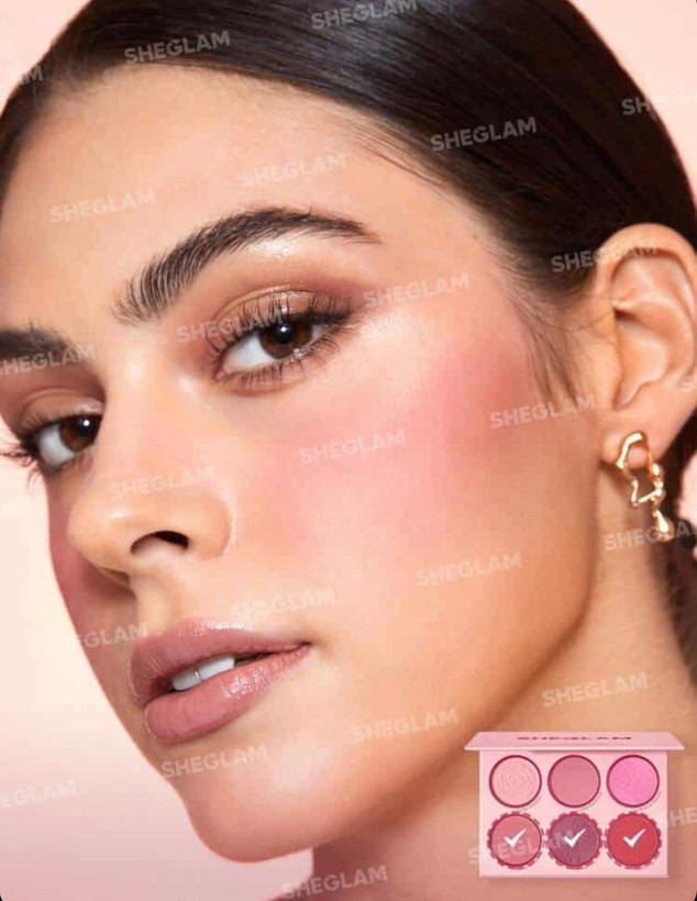 رژگونه پودری ۶ رنگ شیگلم SHEGLAM