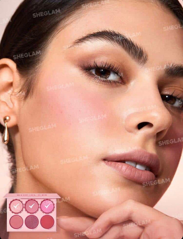 رژگونه پودری ۶ رنگ شیگلم SHEGLAM
