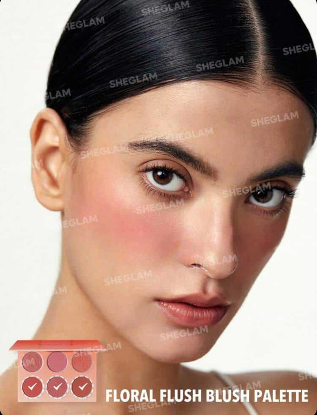 پالت رژگونه ۶تایی شیگلم SHEGLAM