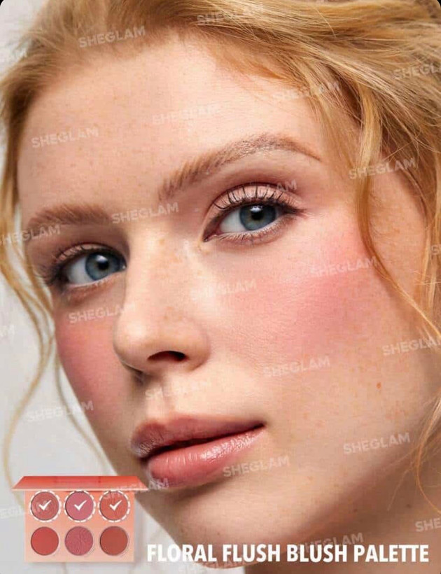 پالت رژگونه ۶تایی شیگلم SHEGLAM